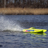 Blackjack 24" V2 Catamaran Brushless: RTR