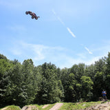 1/10 Tenacity DB Pro 4WD Desert Buggy Brushless RTR with Smart