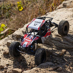 Axial 1/8 AXP8 Gilamon 2.2 4X4 RTR Brushed Trail Buggy